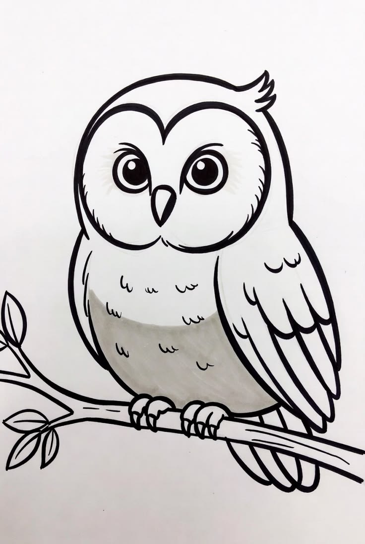 Cute Owl