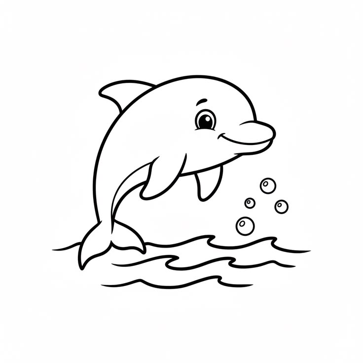 Dolphin