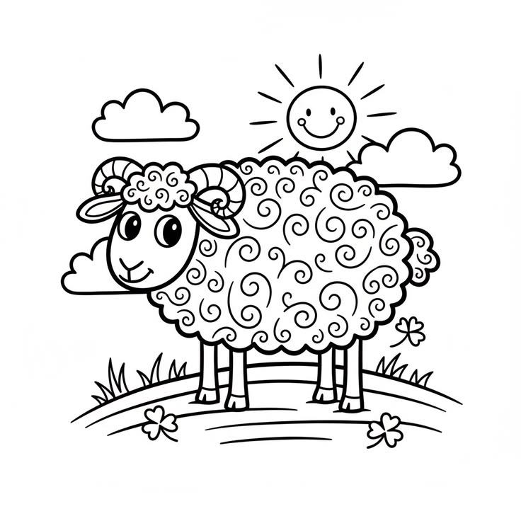 Fluffy Sheep