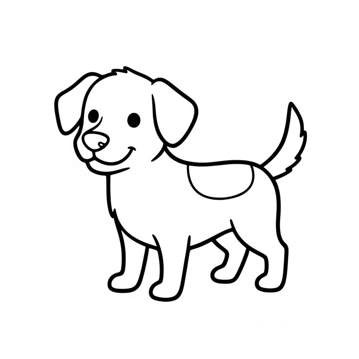 Cute Dog
